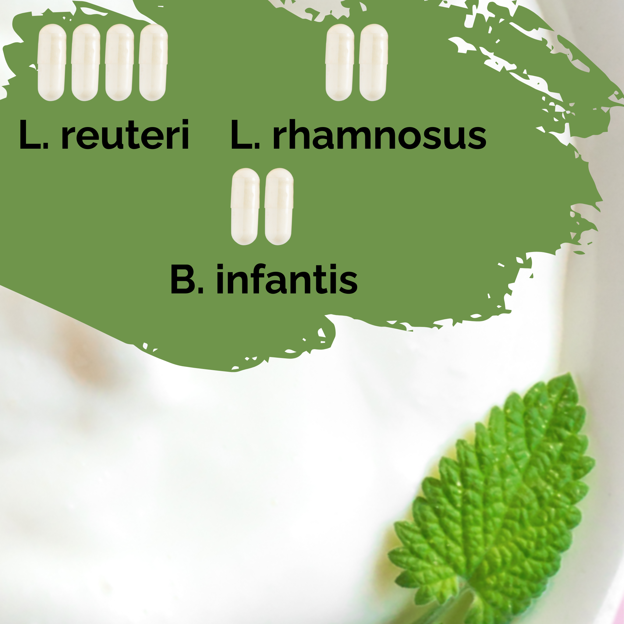 L. reuteri + L. rhamnosus + B. infantis | Набор для закваски йогурта | Счастливый кишечник | Заквасочные культуры | Упаковка из 3 штук